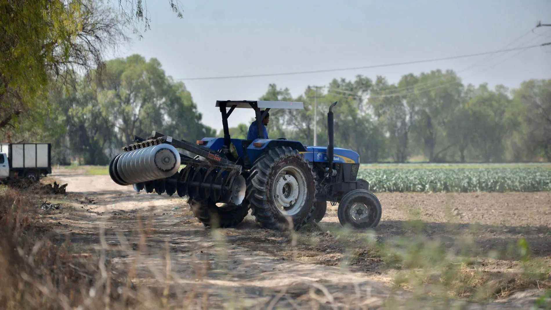 Agricultura, cosechas, hortalizas  (3)